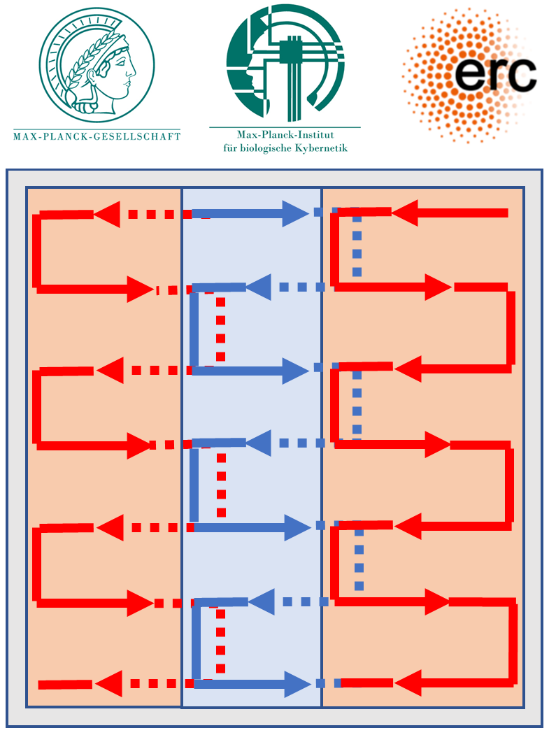 High-resolution multi-shot readout-segmented EPI  Logo