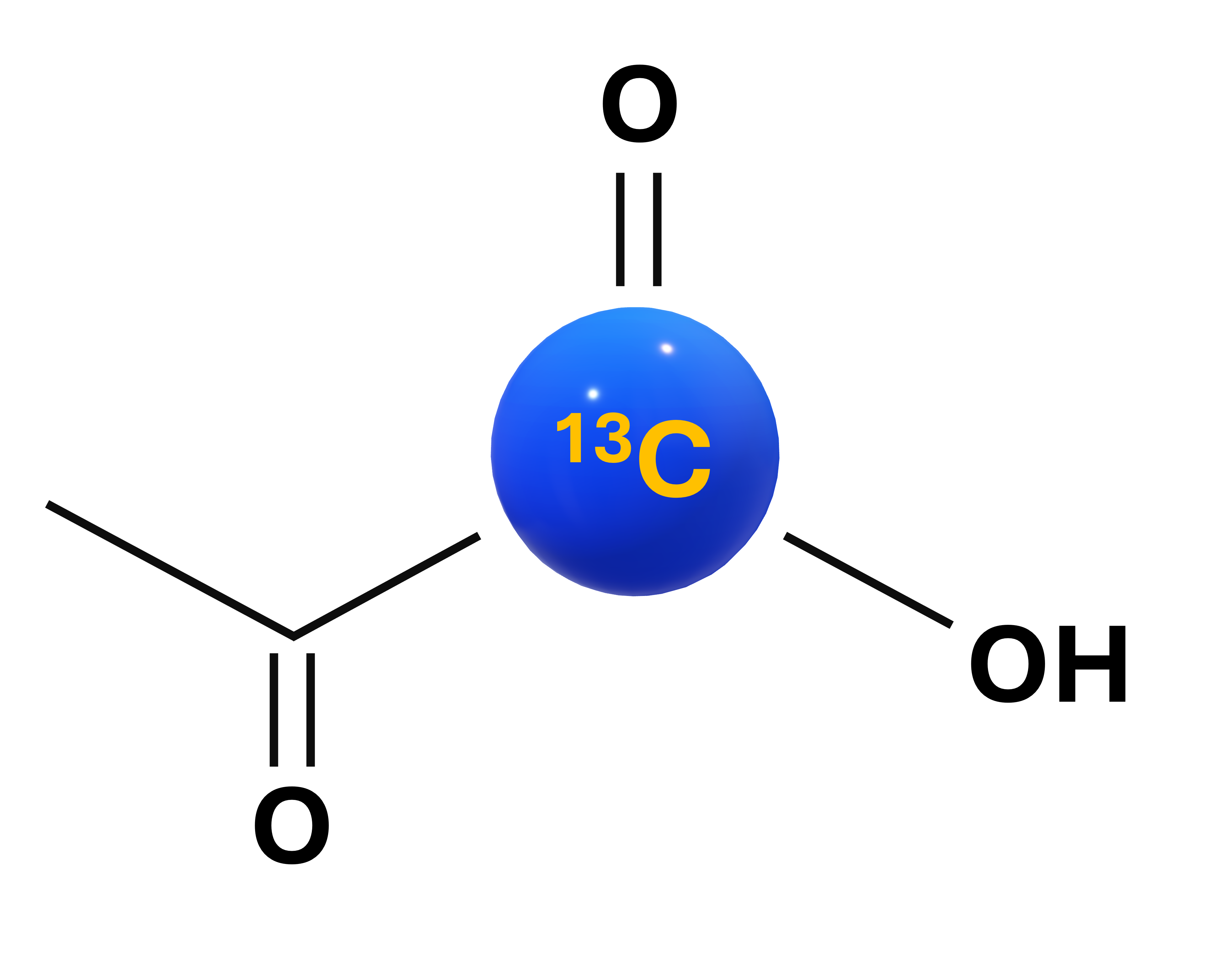 C13 sequences Logo